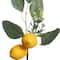 Yellow Lemon Pick by Ashland&#xAE;